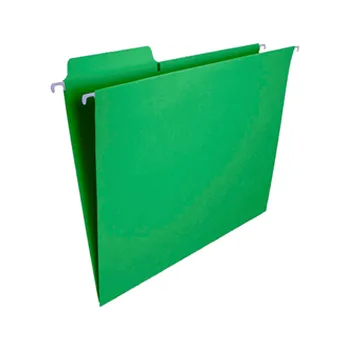 CARPETA COLGANTE VERDE